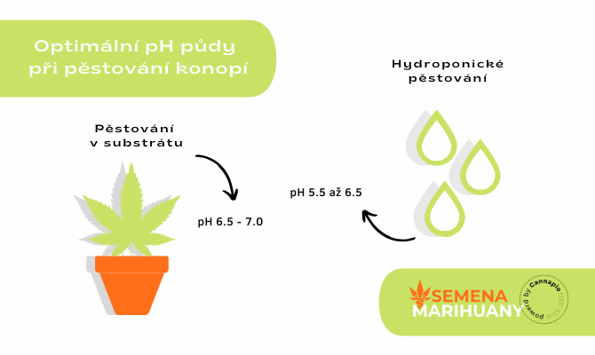 Správné pH je dobrou prevencí před množením nežádoucích bakterií, zejména u hydroponii